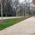 Il Parco del Valentino si rinnova: riaperto il primo viale riqualificato