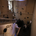 Lo scalone di Palazzo Cavour