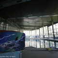 La vasca della piscina Sospello