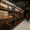 C/ART: L’arte di giocare con l’automobile al Museo Nazionale dell’Automobile