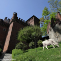 L\'allestimento del Borgo Medievale