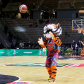 Al via le Final Eight 2025