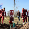 Al parco Colonnetti nasce il Bosco del Toro, l’iniziativa di Suzuki e Torino Fc per una città ancora più verde