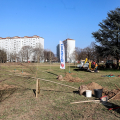 Al parco Colonnetti nasce il Bosco del Toro, l’iniziativa di Suzuki e Torino Fc per una città ancora più verde