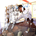Al via la nuova edizione di CioccolaTò, in piazza Vittorio Veneto