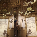 "Uno spazio per Leonardo" – Un nuovo allestimento per esplorare il genio di Da Vinci