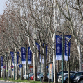 Torino, Special Olympics 2025