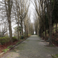 Parco di Villa Genero, presentati gli interventi di riqualificazione