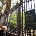 Il giardino ritrovato: riapre al pubblico lo storico spazio verde di Palazzo Cisterna