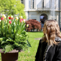 Il giardino ritrovato: riapre al pubblico lo storico spazio verde di Palazzo Cisterna