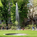 Il giardino ritrovato: riapre al pubblico lo storico spazio verde di Palazzo Cisterna