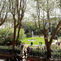 Il giardino ritrovato: riapre al pubblico lo storico spazio verde di Palazzo Cisterna