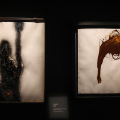 La 'geniale sregolatezza' di Carol Rama in mostra al Museo di Arti Decorative Accorsi-Ometto
