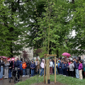 In ricordo di Masha Amini e delle lotte delle donne iraniane, un albero ai Giardini Cavour