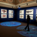 Da Botticelli a Mucha: la bellezza attraverso i secoli in mostra a Musei Reali di Torino