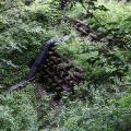 Parco Leopardi, presentati gli interventi di messa in sicurezza e fruibilità dell’area verde collinare