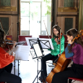 Musica Diffusa: biblioteca Villa Amoretti