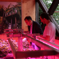 Inaugurata “The Heard Garden”, installazione sonora di Boosta all’impianto The Heat Garden