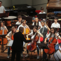 CFM Sneakers Orchestra