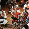 CFM Sneakers Orchestra