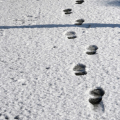 Passi sulla neve - img_2452