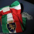 La fascia tricolore con lo stemma della Città di Torino