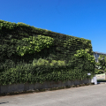 Scuola Pertini, inaugurata la parete verde realizzata per l’iniziativa Nitto Atp Finals Torino Green Project