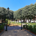Piazza Maria Teresa, inaugurato il Giardino storico