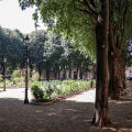 Piazza Maria Teresa, inaugurato il Giardino storico