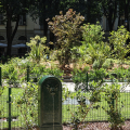 Piazza Maria Teresa, inaugurato il Giardino storico