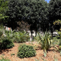 Piazza Maria Teresa, inaugurato il Giardino storico