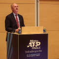 Angelo Binaghi, Presidente della Federazione Italiana Tennis