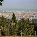 Torino ricorda i caduti della Prima Guerra Mondiale in occasione del centenario del parco della Rimembranza
