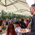 In piazza Carignano il ‘Pranzo della Domenica’: la cucina italiana di candida a Patrimonio Unesco