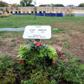 A Torino un giardino intitolato a John Lennon: la cerimonia in via Moretta