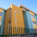 Scuola primaria King