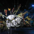 Laure Prouvost. WE FELT A STAR DYING