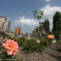 Parco Dora