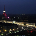 0405_molerosa_0211