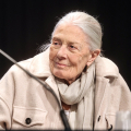 Vanessa Redgrave
