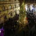 Inaugurazione dell’albero della Città
