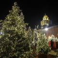 Inaugurazione Boschetto di Natale