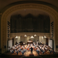 CFM Sneakers Orchestra