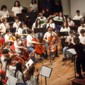CFM Sneakers Orchestra