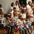 CFM Sneakers Orchestra