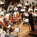 CFM Sneakers Orchestra