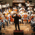 CFM Sneakers Orchestra