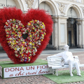 Torino celebra l’amore con il Cuore di Fiori in piazza San Carlo