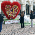 Torino celebra l’amore con il Cuore di Fiori in piazza San Carlo