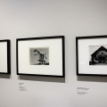 CAMERA presenta Edward Weston, maestro della fotografia moderna